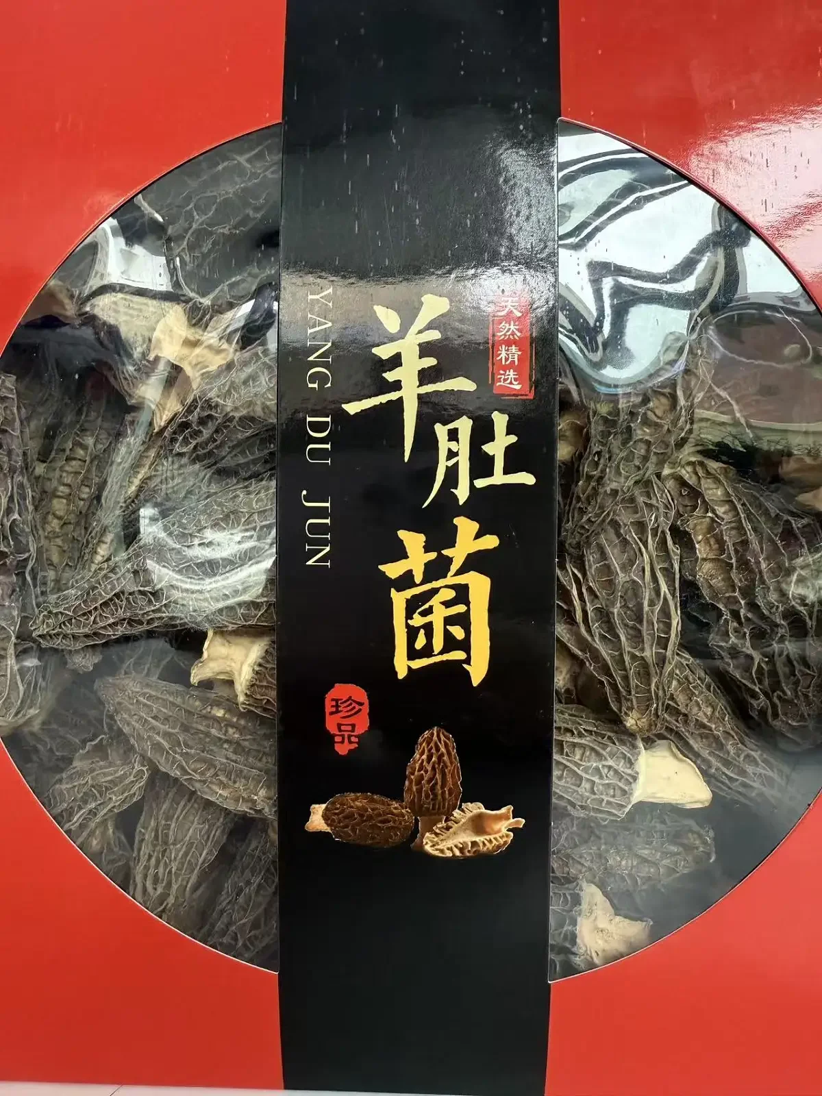 羊肚菌