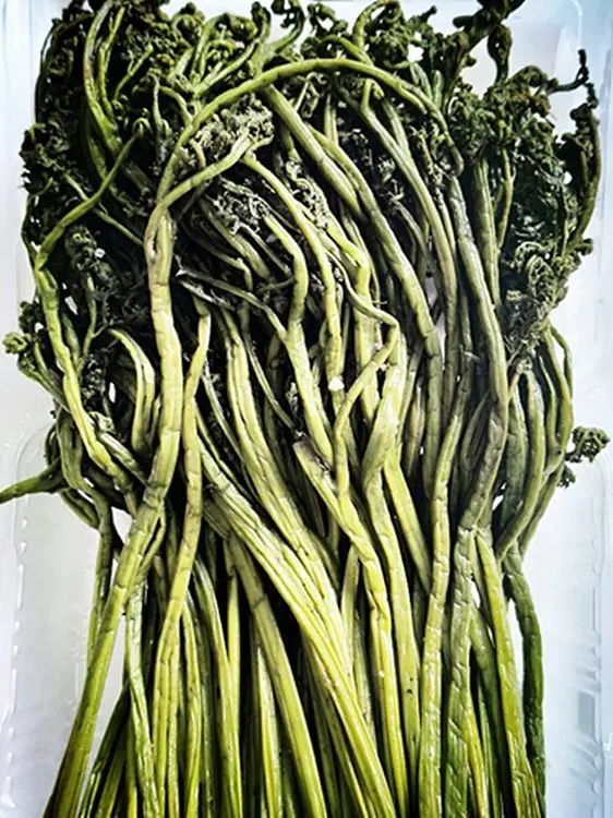 盐渍蕨菜